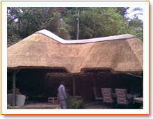New Thatching